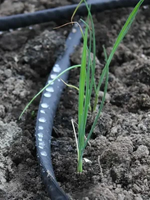 Rozšiřující sada s plochou porézní hadicí (25 m) Akční Cena