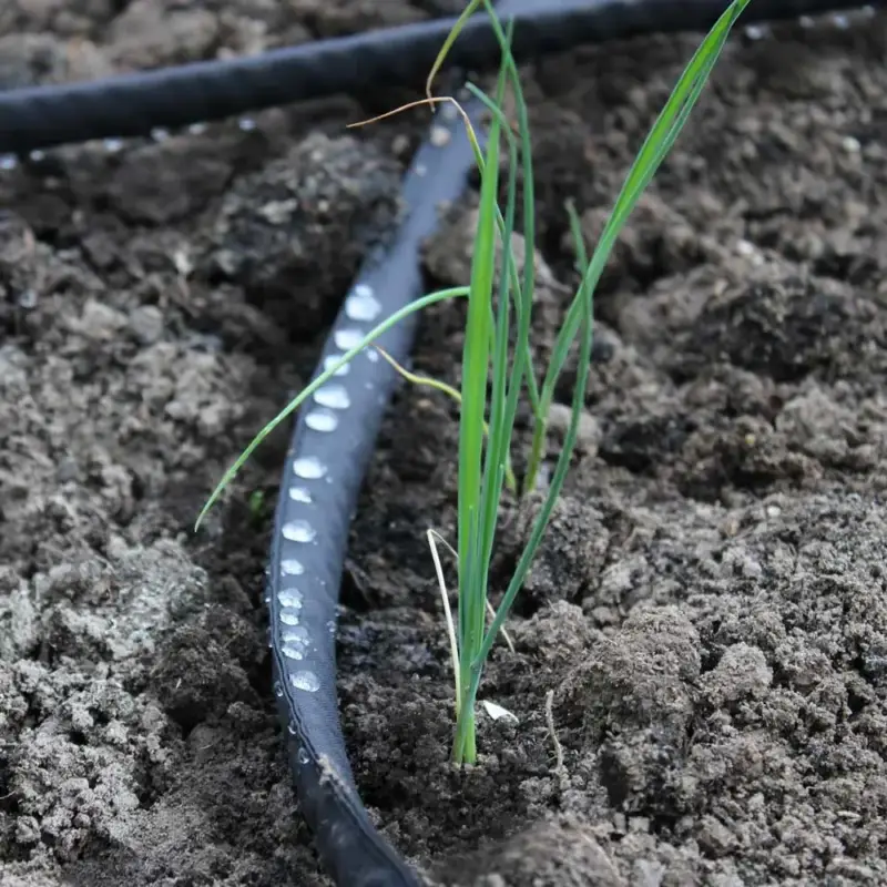 Rozšiřující sada s plochou porézní hadicí (25 m) Akční Cena
