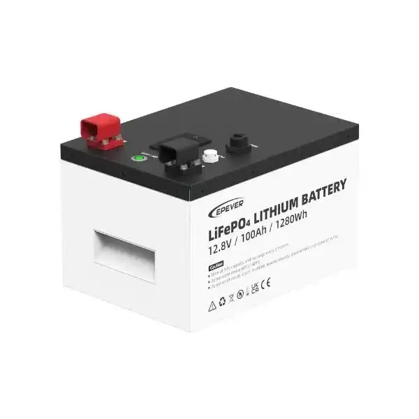 Hit Sezóny Baterie LiFePO4 12,8V 100Ah EPEVER (1280Wh) Metal Case