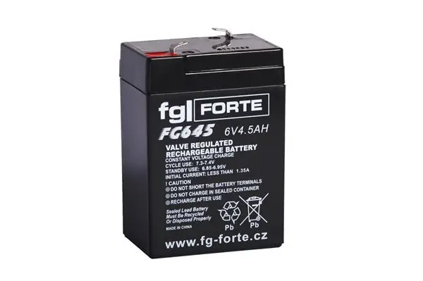 Ihned K Objednání FG-Forte FG645 - 6V / 4,5Ah