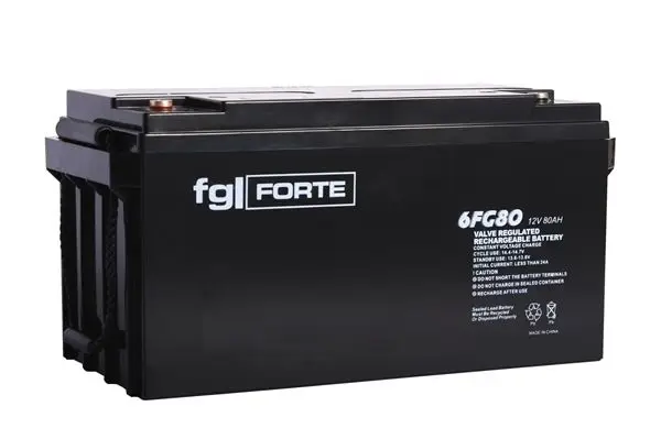 FG-Forte 6FG80 - 12V / 80AhC20 Poslední Šance
