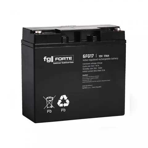 FG-Forte 6FG17 - 12V / 17AhC20 Koupit Online