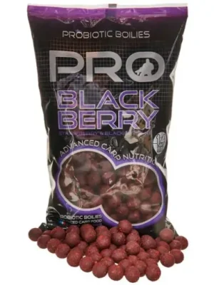 Výhodná Nabídka Starbaits Boilies Probiotic Pro Blackberry