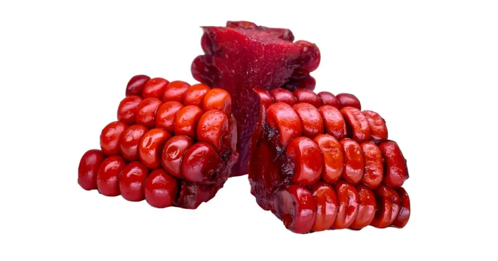 LK Baits Cuc! Corn Compot 50 g - Velikost L Bezpečná Platba