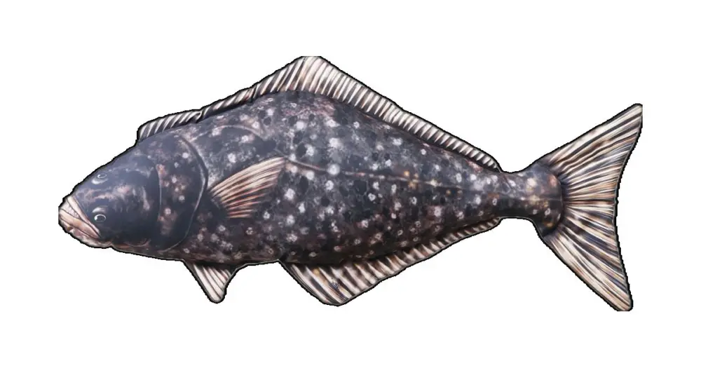 Nakupujte Hned Gaby Plyšová Ryba Halibut 72 cm