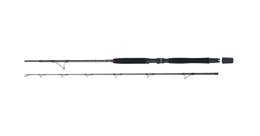 Poslední Šance WFT Prut Go North II 2,1 m 30 lb 200-600 g