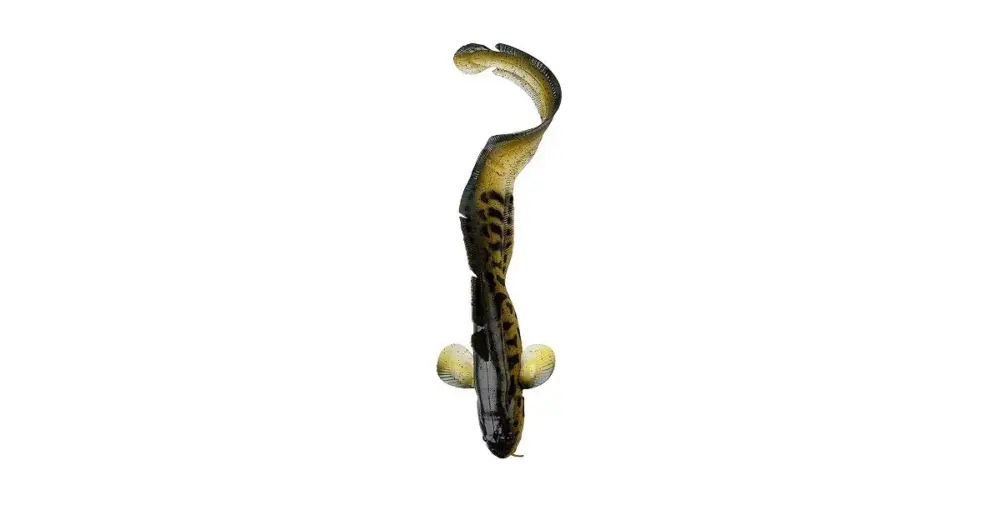 Savage Gear Gumová nástraha 3D Burbot-25 cm 75 g Top Prodej