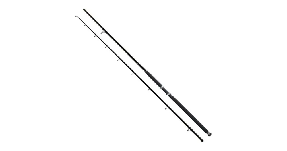 Sleva Giants Fishing Prut Deluxe Catfish 2,9 m 500 g