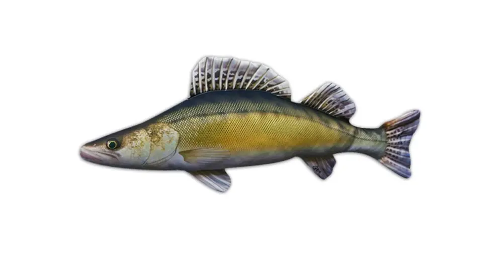 Cenová Bomba Gaby Plyšová Ryba Candát 75 cm