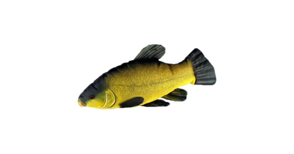 Gaby Plyšová Ryba Lín 60 cm Zlevněný