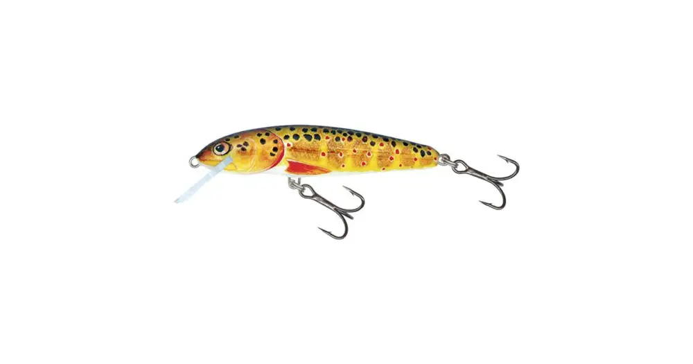 Salmo Wobler Minnow Floating Trout - 6 cm 4 g Nová Kolekce