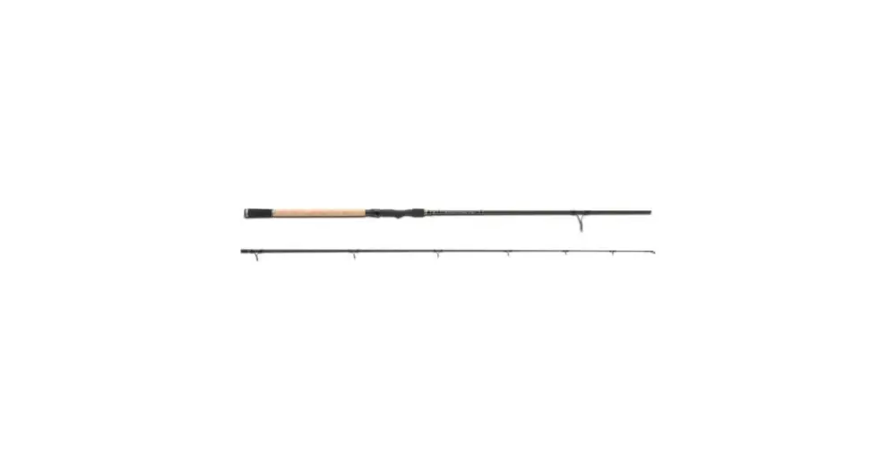 Originální Saenger Prut Heavy Pike 2,55 m 50-110 g