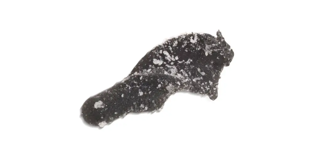 Horká Nabídka Saenger Iron Trout Nástraha Turno 6 ks 2,5 cm-Barva B