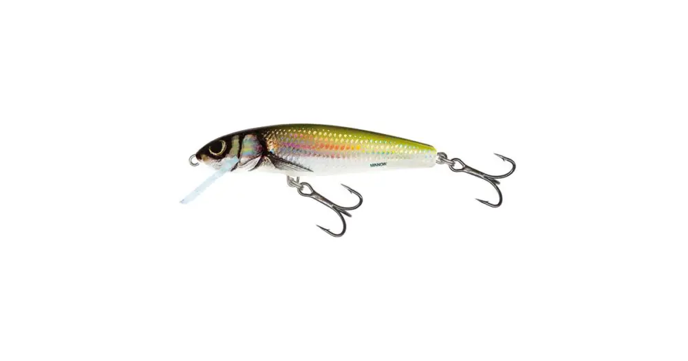 Expresní Doručení Salmo Wobler Minnow Floating Holo Bleak