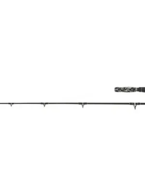 WFT Prut Big Cat Boat Cat 2,40 m 150-550 g Rychlé Dodání