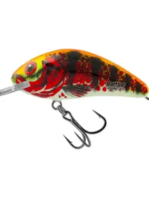 Akční Cena Salmo Wobler Rattlin Hornet Floating Holo Red Perch - 5,5 cm 10,5 g
