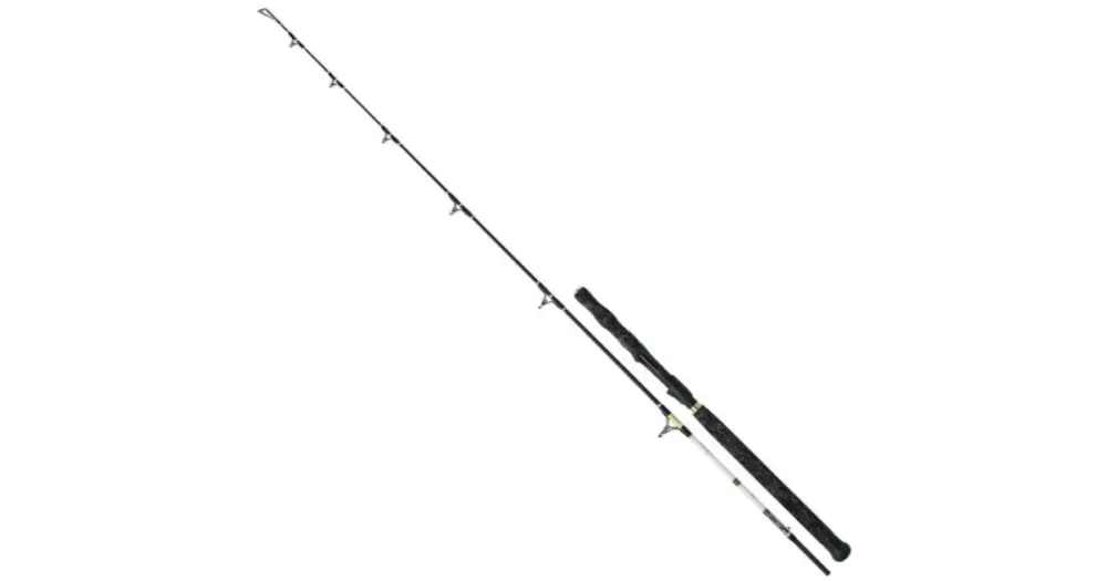 Tovární Cena WFT Prut WFT Catbuster Vertical Spin 1,9 m 50-220 g