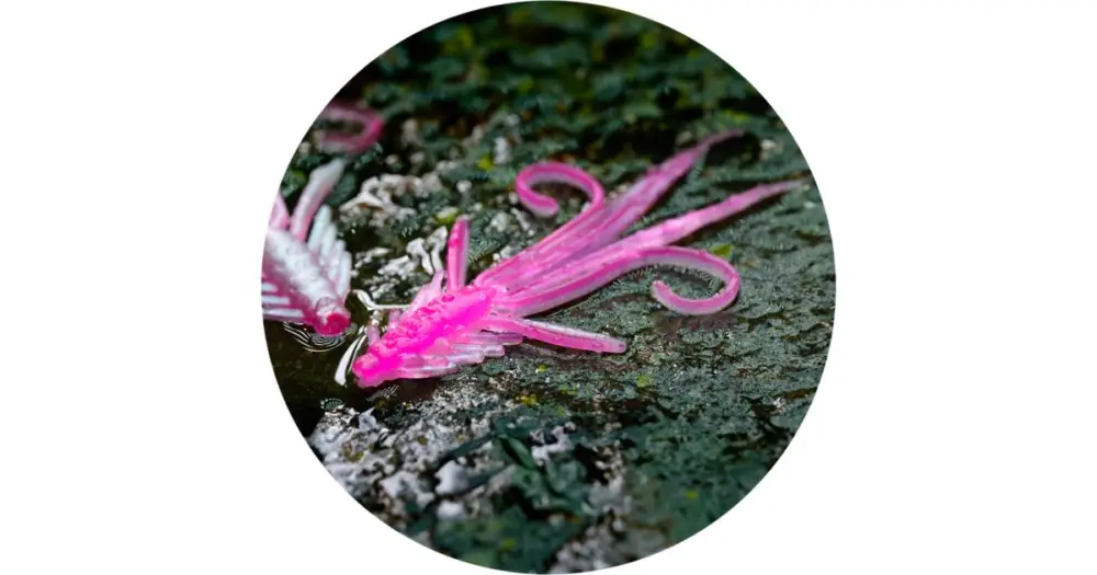 RedBass Gumová Nástraha Nymfa Pink/Silver UV COLOR - S 53 mm Dokud Zásoby Vydrží