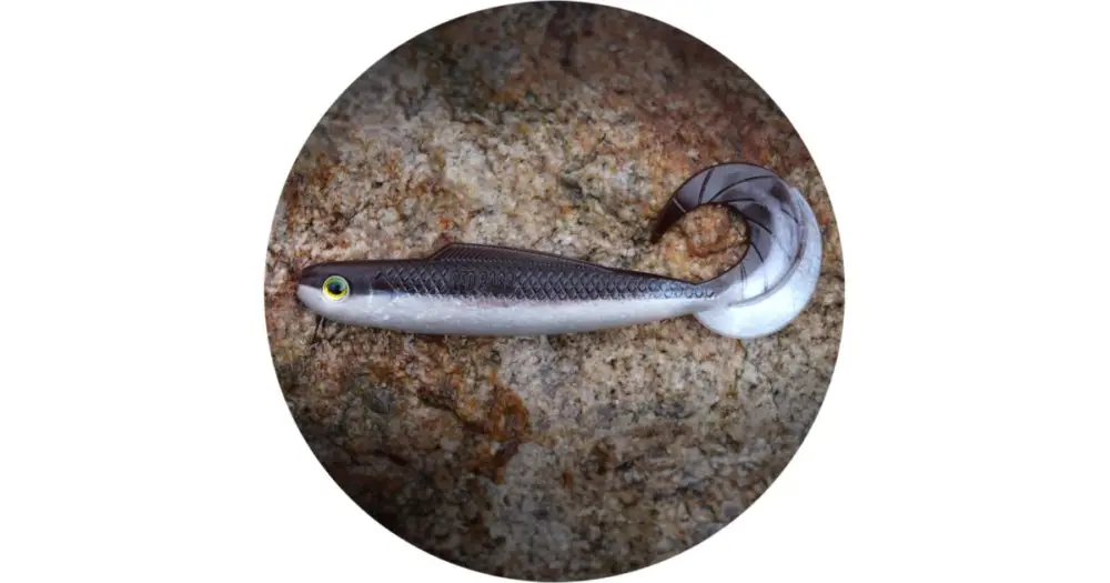 Koupit Online RedBass Gumová Nástraha Twister Kixter Brown/Silver - XX 155 mm