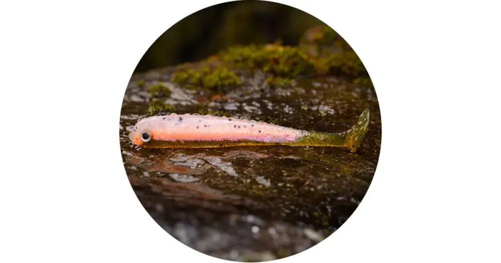 Hit Sezóny RedBass Gumová Nástraha Ripper Swimmer Slim Rainbow Trout UV - S 70 mm