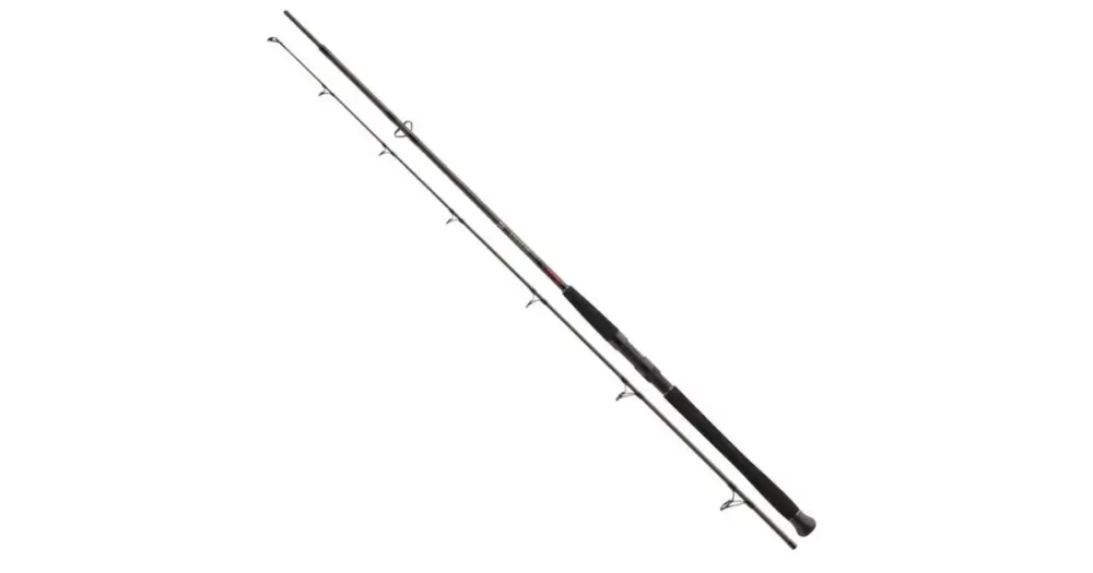 Daiwa Prut Exceler CF Spin 2,70 m -185 g Přímo Od Výrobce