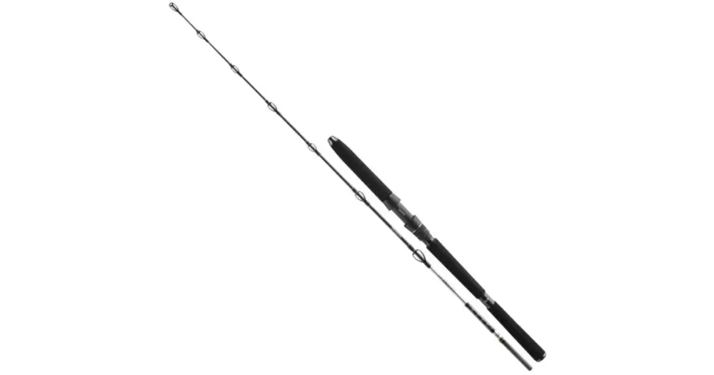 Daiwa Prut BG Deep Sea 2,20 m 30-40 lbs Aktuální