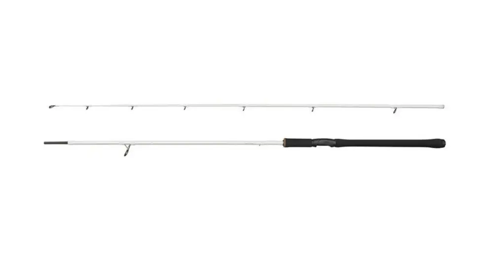 Zlevněný Abu Garcia Prut Beast X2 822 H Trolling Spinning 2,49 m 30 - 110 g 2 Díly