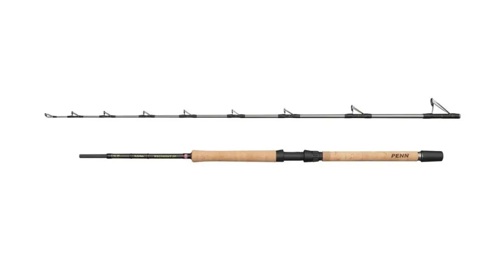 Penn Prut Regiment IV Pro Boat 2,10 m 30-50 lb 2 Díly Dokud Zásoby Vydrží
