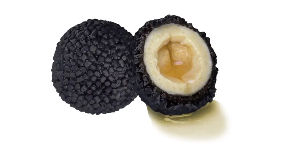 LK Baits Boilie Nutrigo Pellets Black Halibut Nejprodávanější
