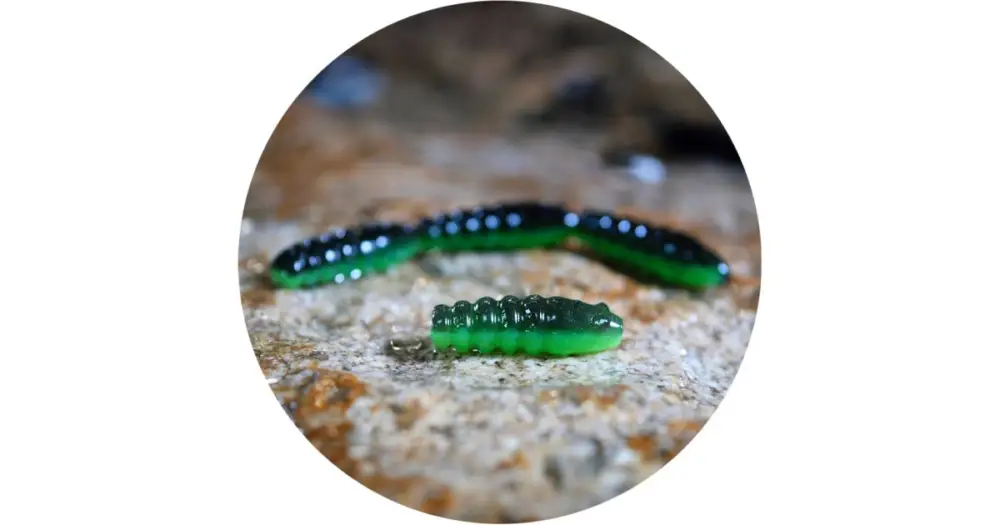 Odeslání Ihned RedBass Gumová Nástraha Trout Grub Black/Green - 3x16 mm