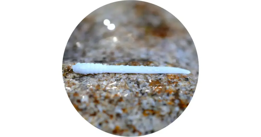 Super Cena RedBass Gumová Nástraha Micro Tail White - S 48 mm