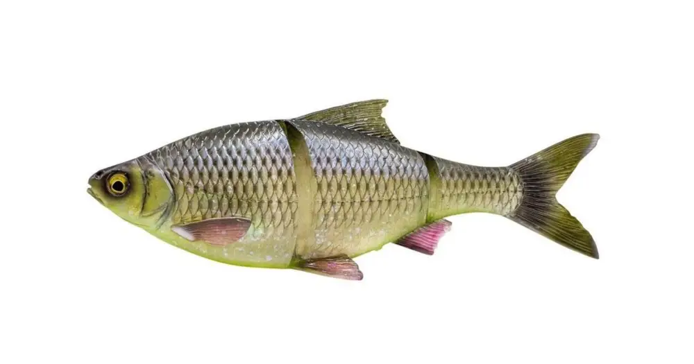 Cenová Bomba Savage Gear Gumová Nástraha 3D Line Thru Roach Slow Sinking Hugo