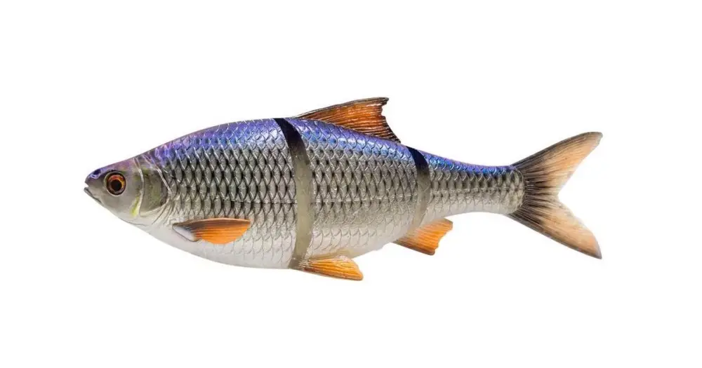 Cenový Hit Savage Gear Gumová Nástraha 3D Line Thru Roach Slow Sinking Blue Roach