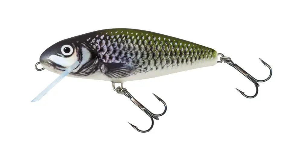 Salmo Wobler Perch Floating Holo Bleak - 8 cm Přímo Od Výrobce