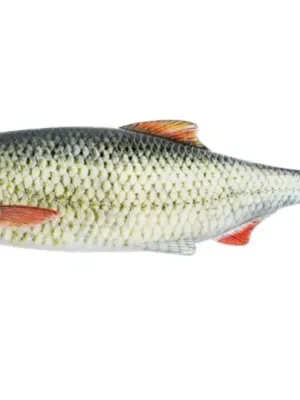 Westin Gumová Nástraha Ricky the Roach Shadtail Clear Roach - 18 cm 85 g Must-Have