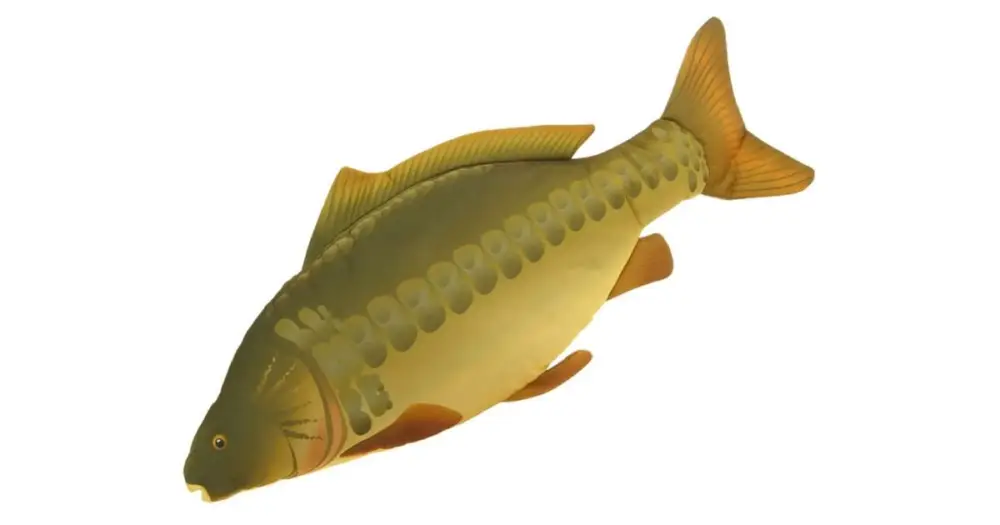NGT Polštář Kapr 70 cm Ověřený