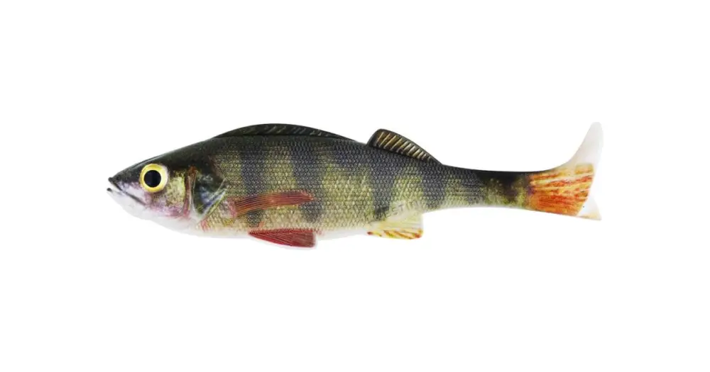 Hit Sezóny Westin Gumová Nástraha Original Perch Real Perch - 7 cm 4 g