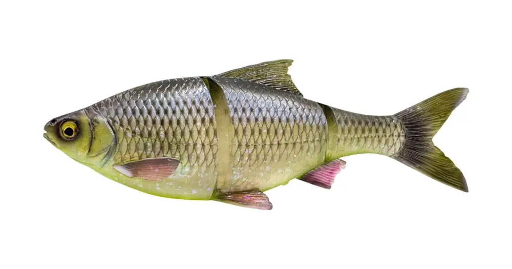 Cenová Bomba Savage Gear Gumová Nástraha 3D Line Thru Roach Slow Sinking Toxic Roach - 18 cm 80 g