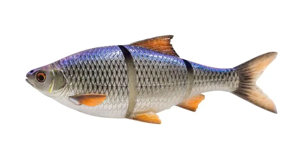 Savage Gear Gumová Nástraha 3D Line Thru Roach Slow Sinking Blue Roach - 18 cm 80 g Top Prodej