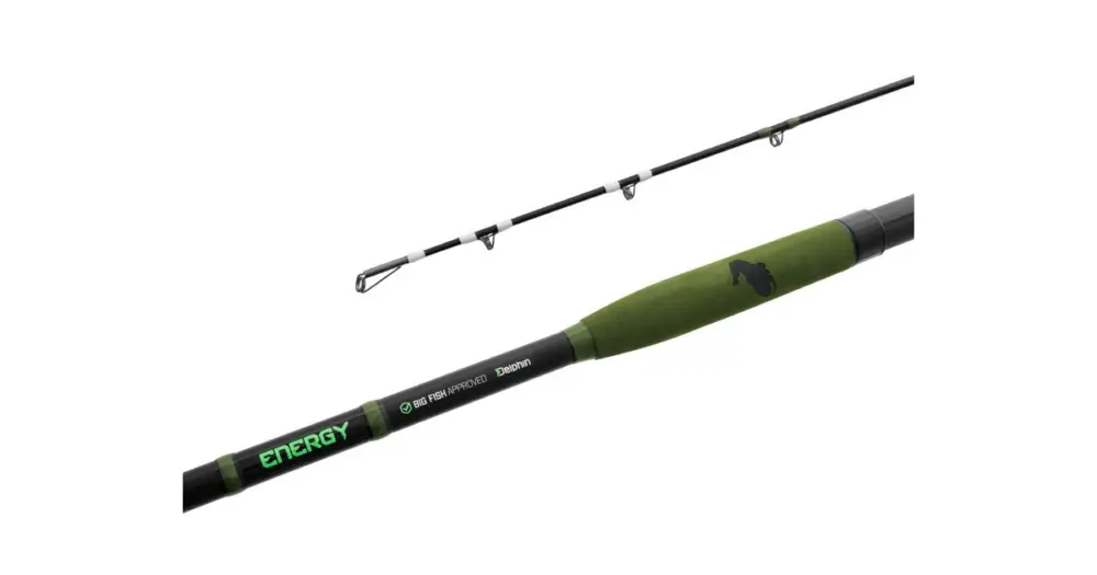 Nízká Cena Delphin Prut Energy Catfish 2,5 m 250-500 g